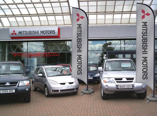 Promotional Flags