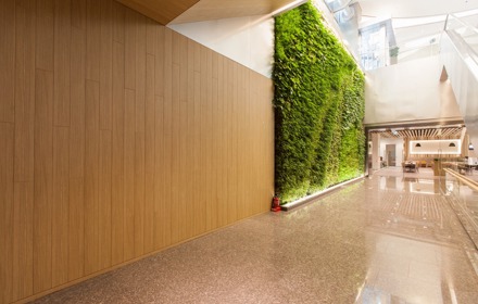 Wood effect film